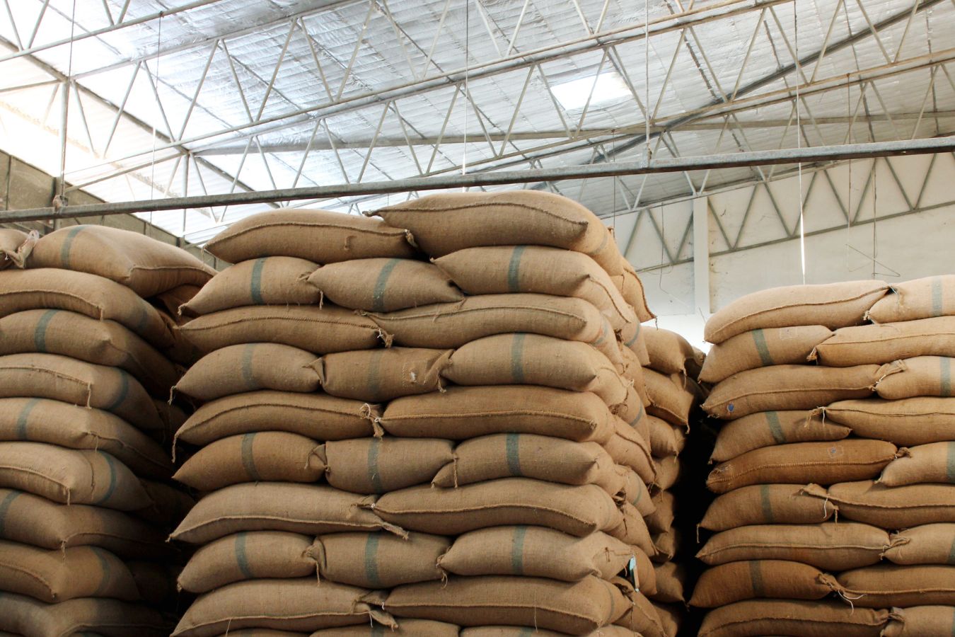 Coffee warehouse Storage & warehousing